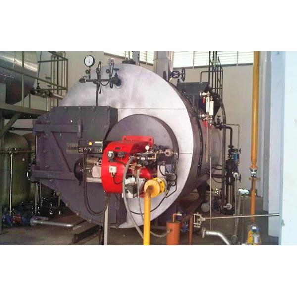    Fire tube Steam Boiler Dual Fuel 