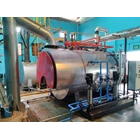  Fire Tube Steam Boiler Farmasi 6