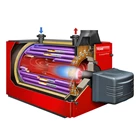Hot Water Generator  Boiler Fuel Gas Capacity 70kw-35000kw 50000kcal 2