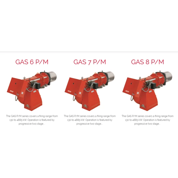  RIELLO GAS 10PM GAS9 PM GAS7 PM GAS 8PM GAS 7PM  GAS 6PM  GAS 5PM GAS 4PM GAS 3PM   