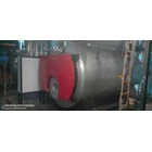 WinsKetel Fire Tube Steam  Boiler 2
